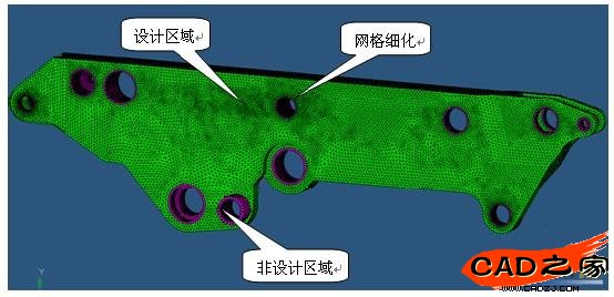 图2 有限元模型