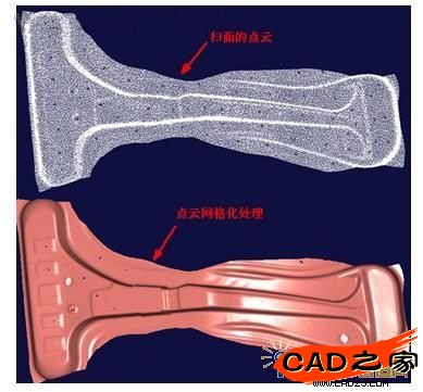 点云网格化处理