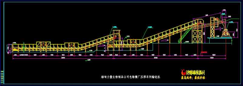 甘蔗糖厂输蔗机整条生产线总图